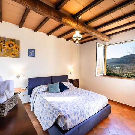 Agriturismo Cupido 몬티아노 외부 사진