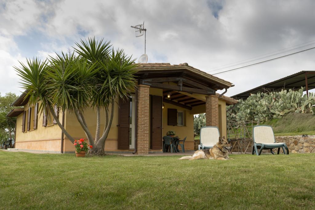 Agriturismo Cupido 몬티아노 외부 사진